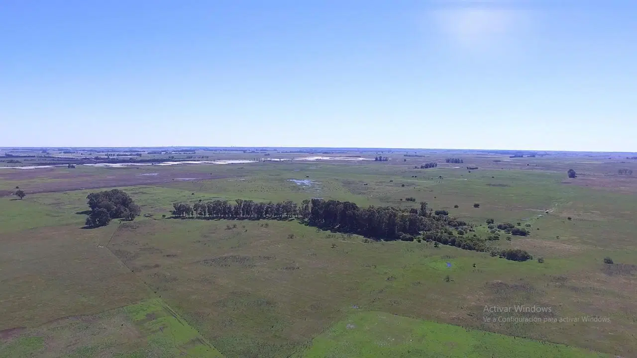 Campo en venta en Magdalena 5