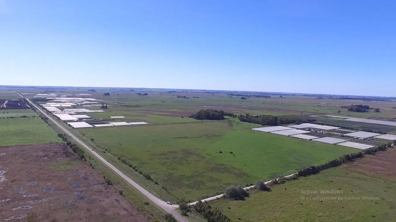 Campo en venta en Magdalena 1
