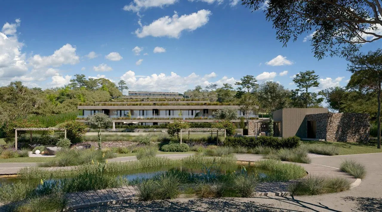 Baleia - Punta Ballena - Uruguay 1