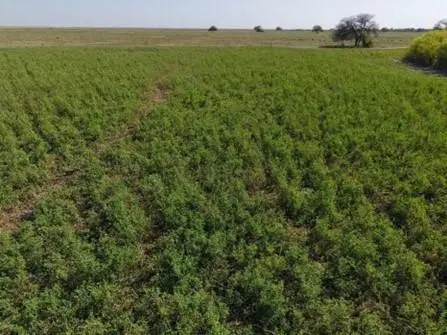 Campo en venta en Santa Fe 5