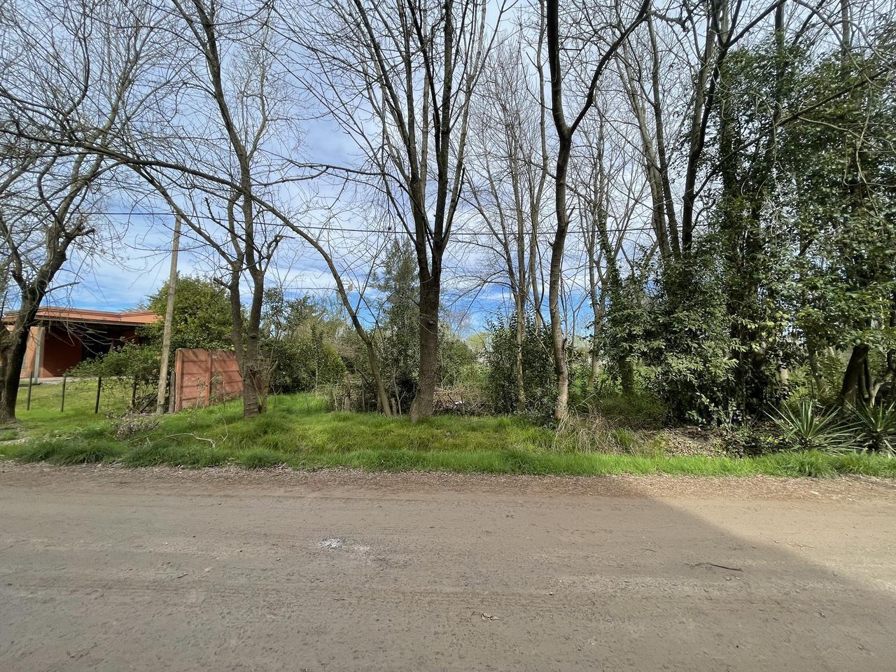 Foto de Terreno en venta en Coronel Brandsen, imagen 1