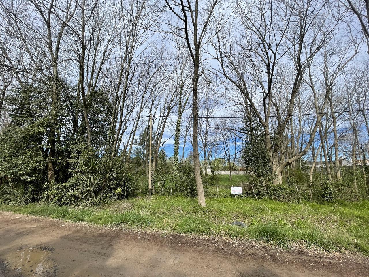 Foto de Terreno en Coronel Brandsen, imagen 2