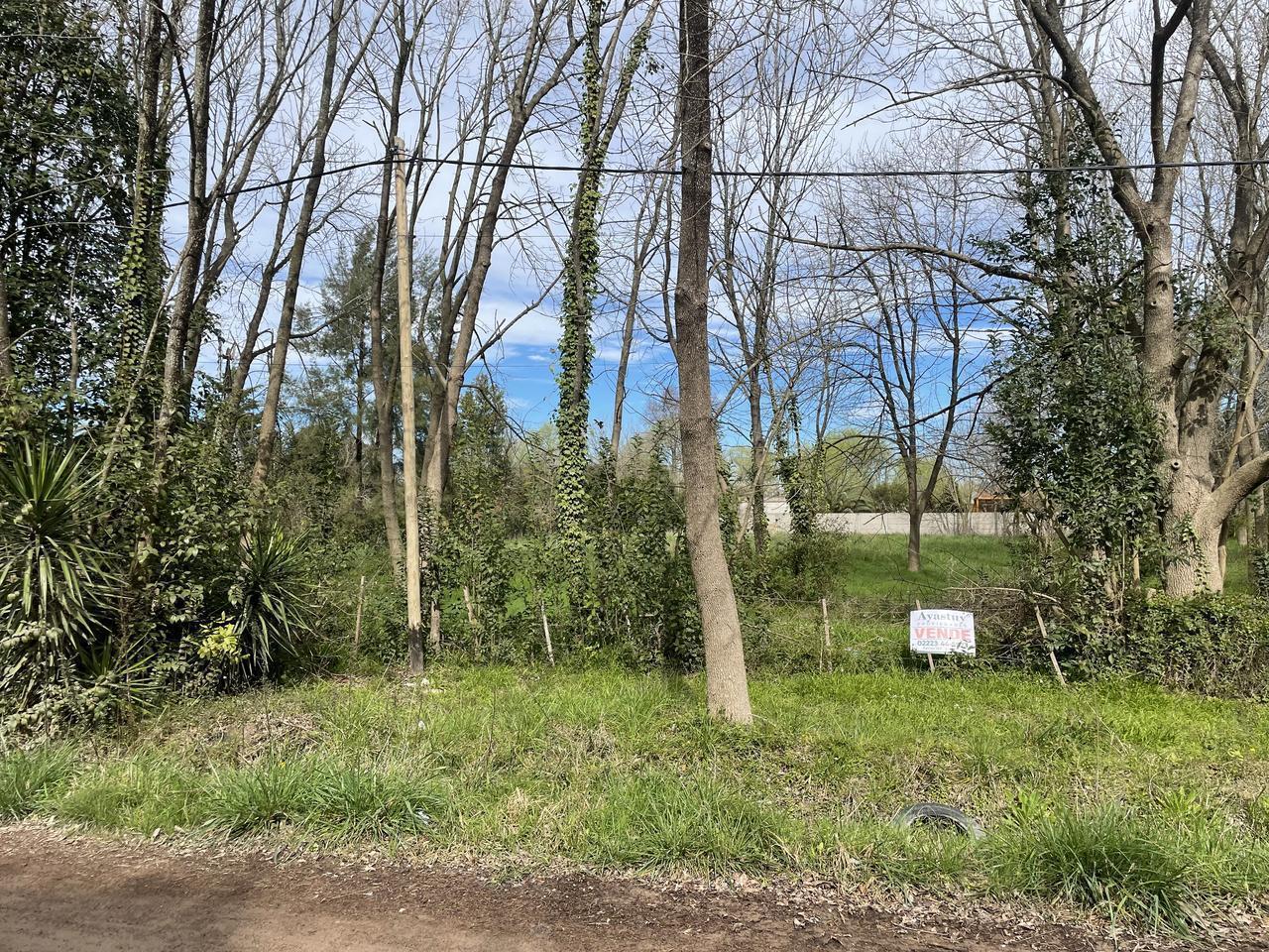 Foto de Terreno en Coronel Brandsen, imagen 3