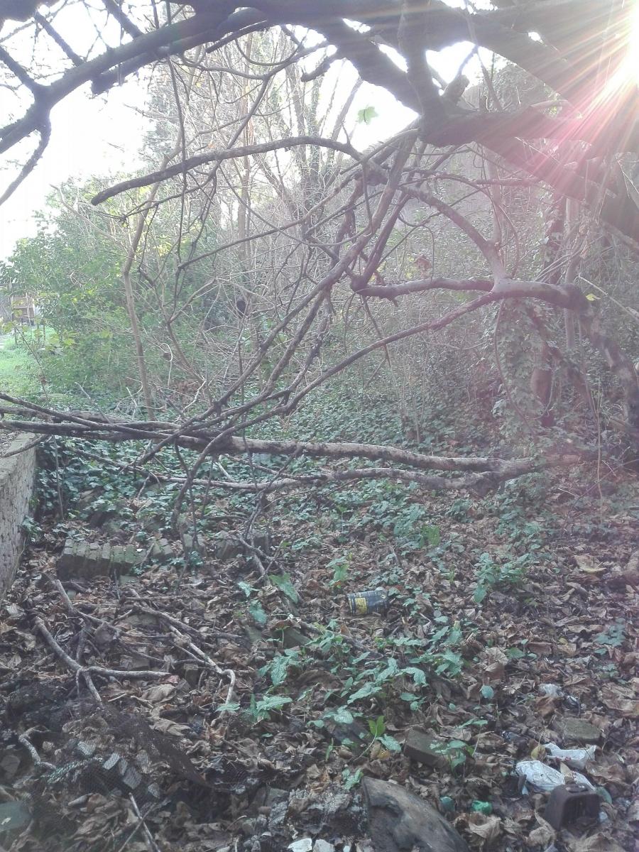 con hermoso lote , con terreno libre de 25mts, pujante zona
