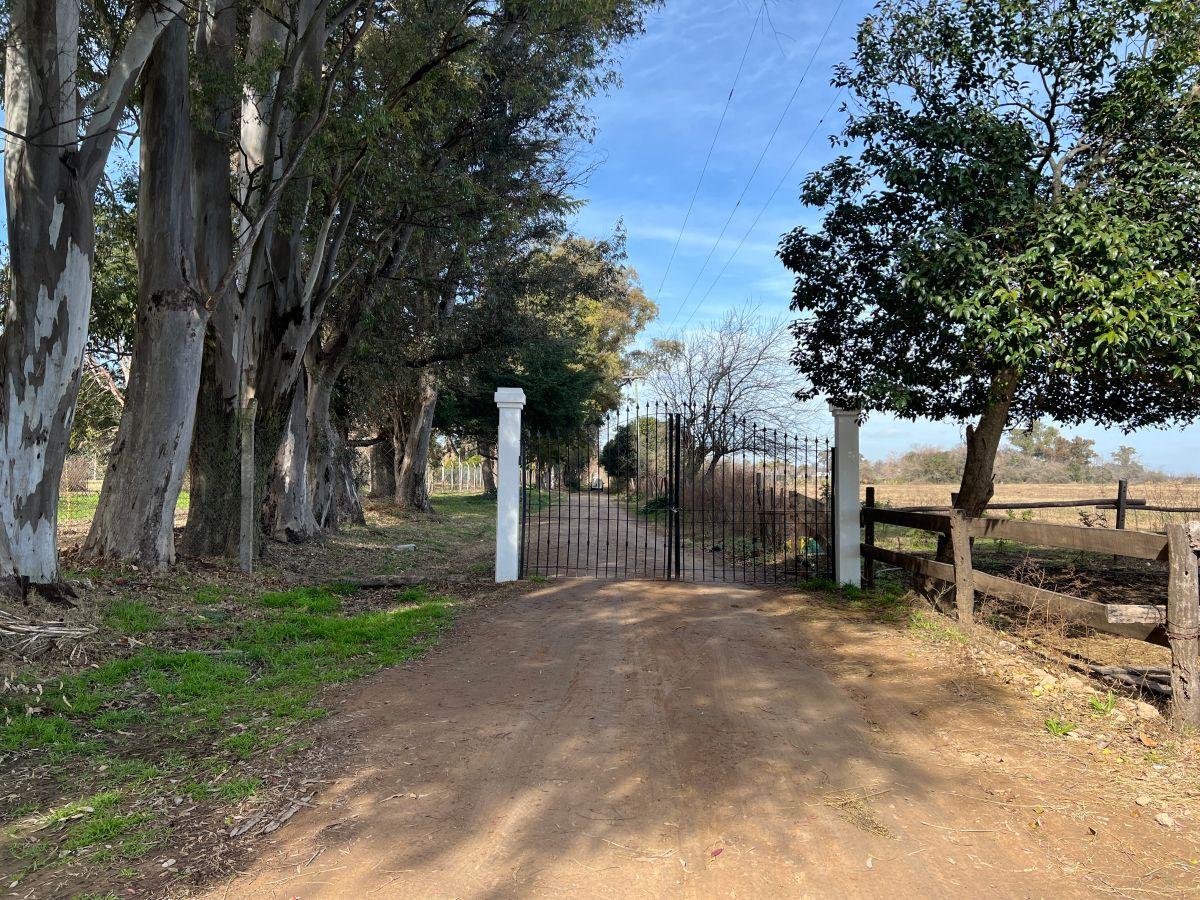 VENTA 6 HA EN OPEN DOOR, LUJAN