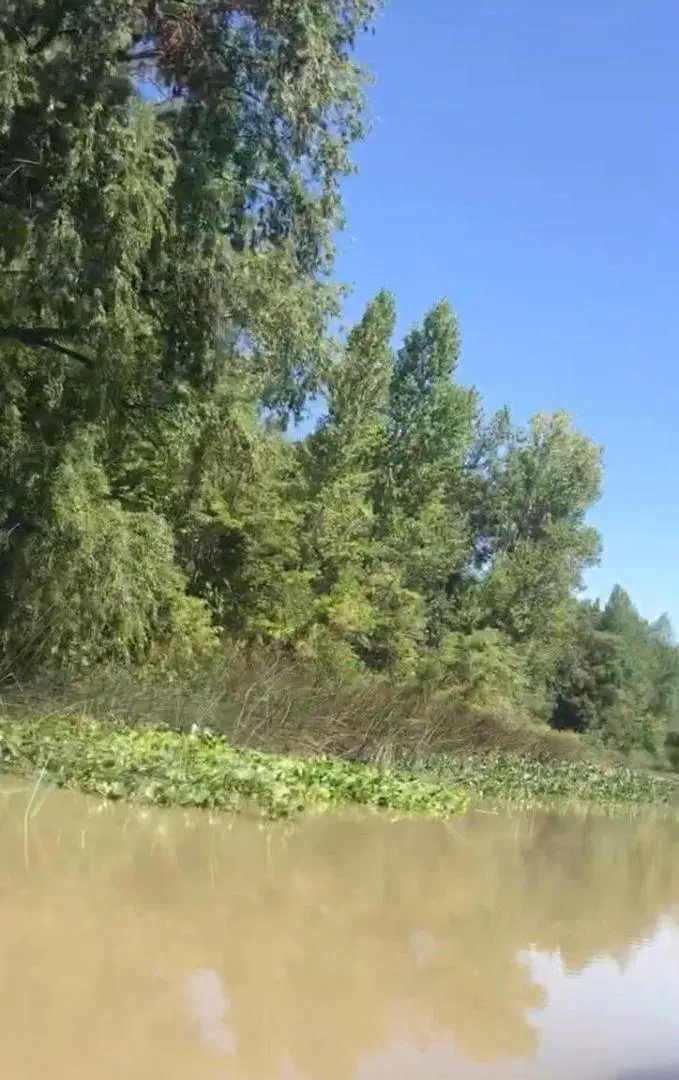 Venta Quinta en Isla Canal Gobernador Arana, Tercera Sección, San Fernando 1
