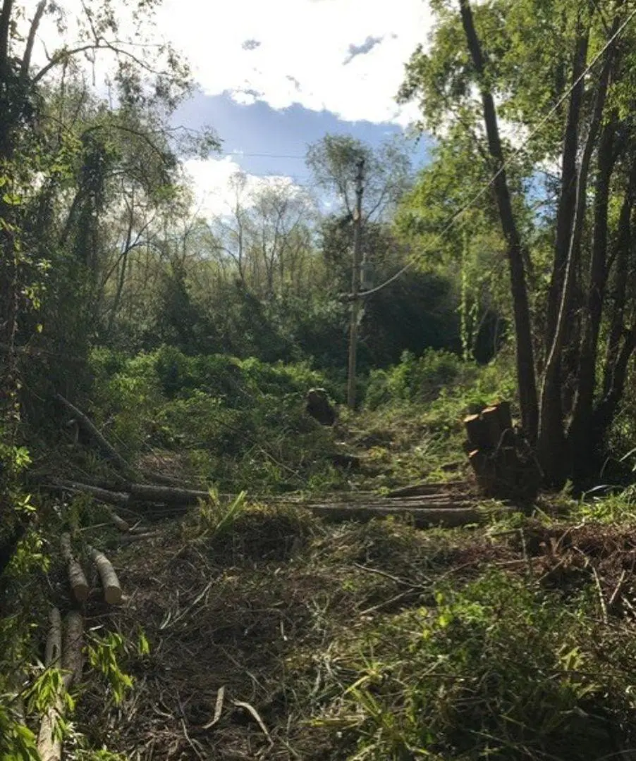 Venta Quinta en Isla Canal Gobernador Arana, Tercera Sección, San Fernando 4