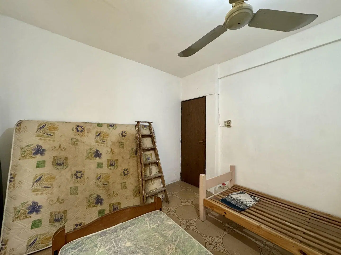 Casa 3 ambientes. | Oro 4844 1