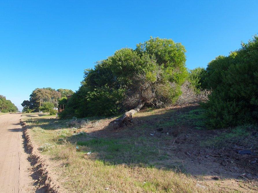 Lote Comercial/residencial a m de Av Principal a 350 m de La Playa 5