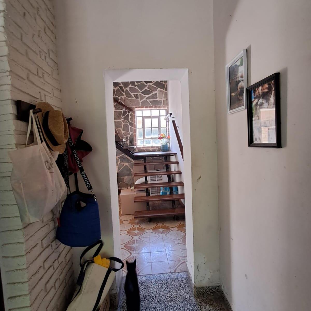 Foto de HERMOSA CASA QUINTA UBICADA EN LA LOCALIDAD DE VILLA ELISA PARTIDO DE, imagen 4