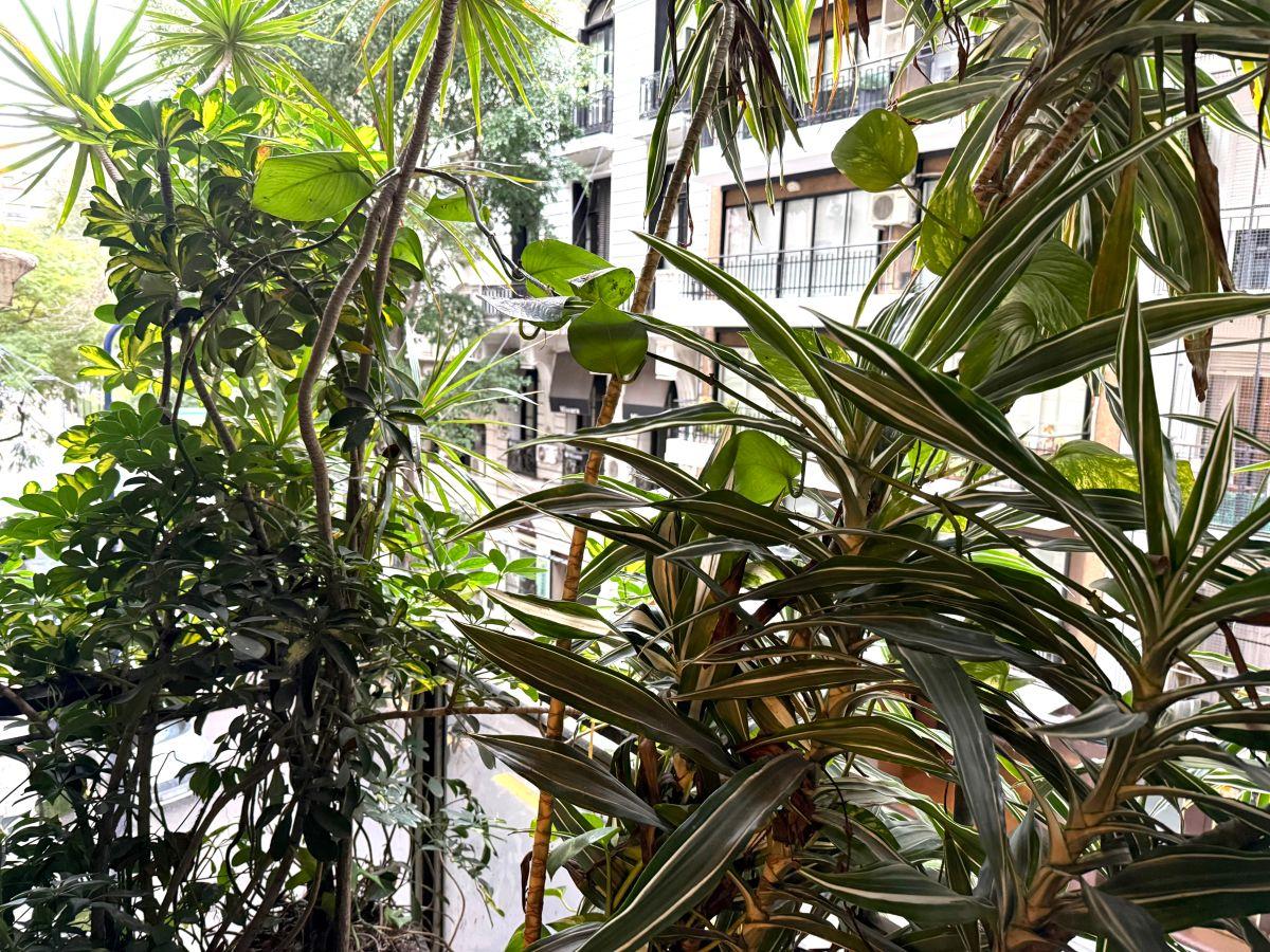 Foto de palier privado vivienda apta uso profesional y/o comercial, imagen 2