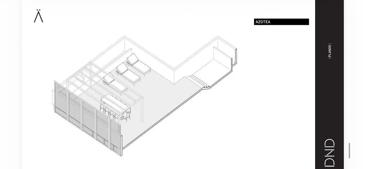 Plano 6