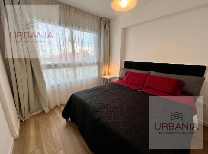 Foto de Departamento en Constitución, imagen 1