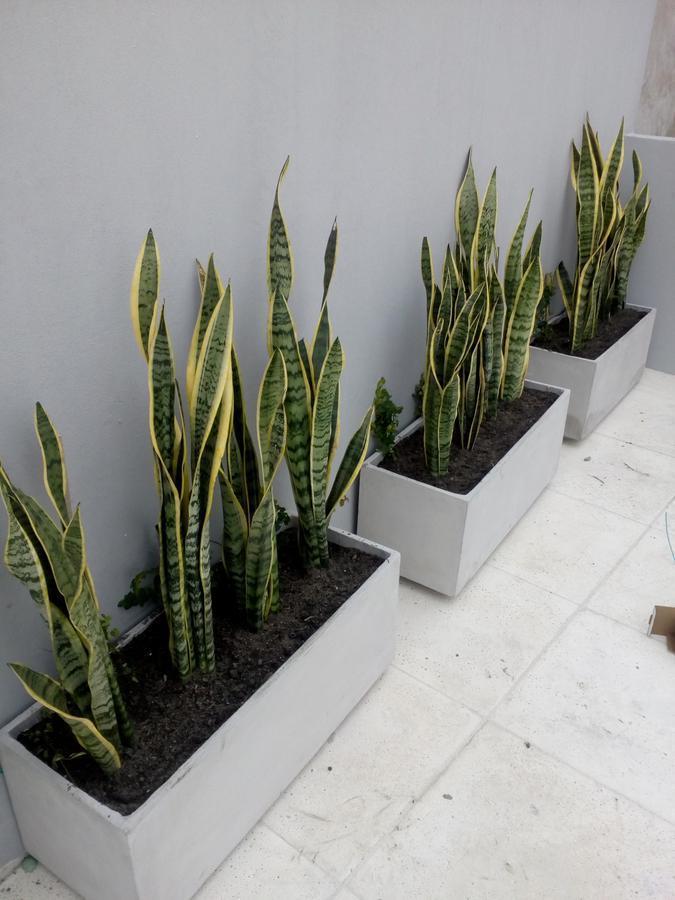 Foto de Ideal inversor hermoso dos ambientes con cochera en venta con amenties, imagen 5