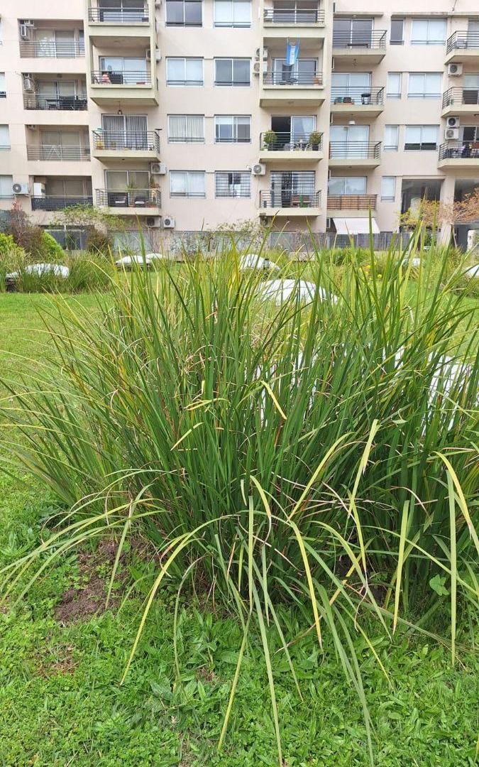 Foto de ALQUILER DEPARTAMENTO TRES AMBIENTES CON COCHERA NUÑEZ, imagen 4