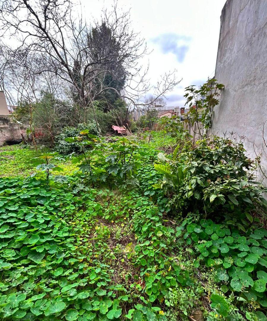Foto de Florida M. Sobre calle O'Higgins. Espectacular lote central 10x34,50, imagen 2