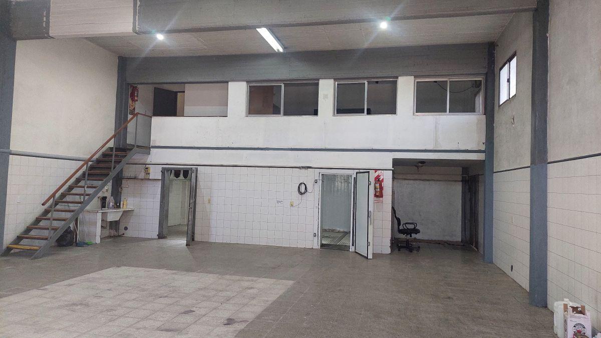 Foto de Hermoso Deposito con 2 cámaras frigorificas, imagen 4