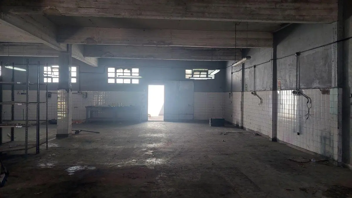 ALQUILO 225 m2 con Espacio libre 5