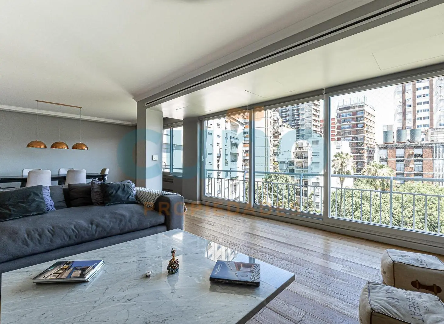 Palacio los Gansos - De lujo! 5 ambientes y cochera - Piso alto, vistas abiertas 3