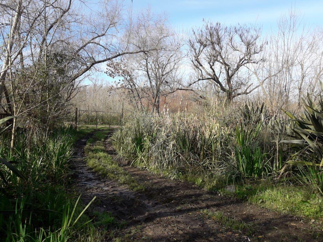 LOTE 1.000M2 EN VENTA APTO CRÉDITO - DIQUE LUJÁN TIGRE