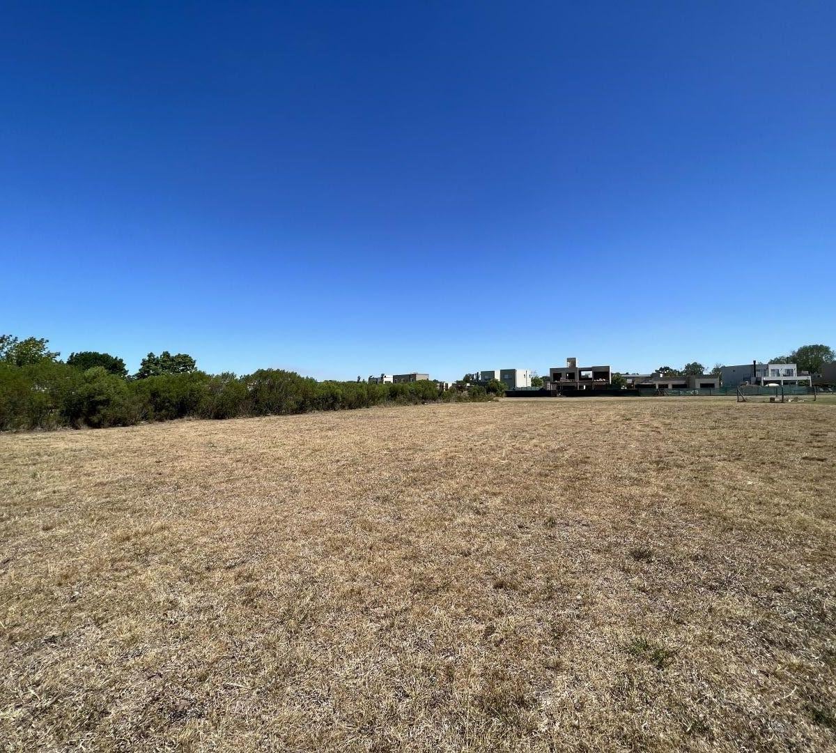EXCELENTE LOTE AL, GOLF-HARAS SANTA MARIA