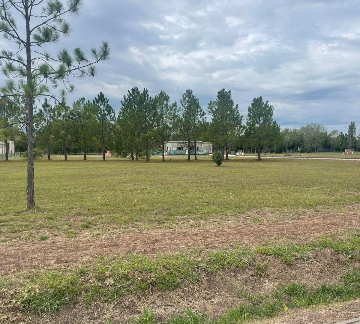 LOTE EN VENTA - PROYECTO APROBADO - EL CARDAL II - CARDALES