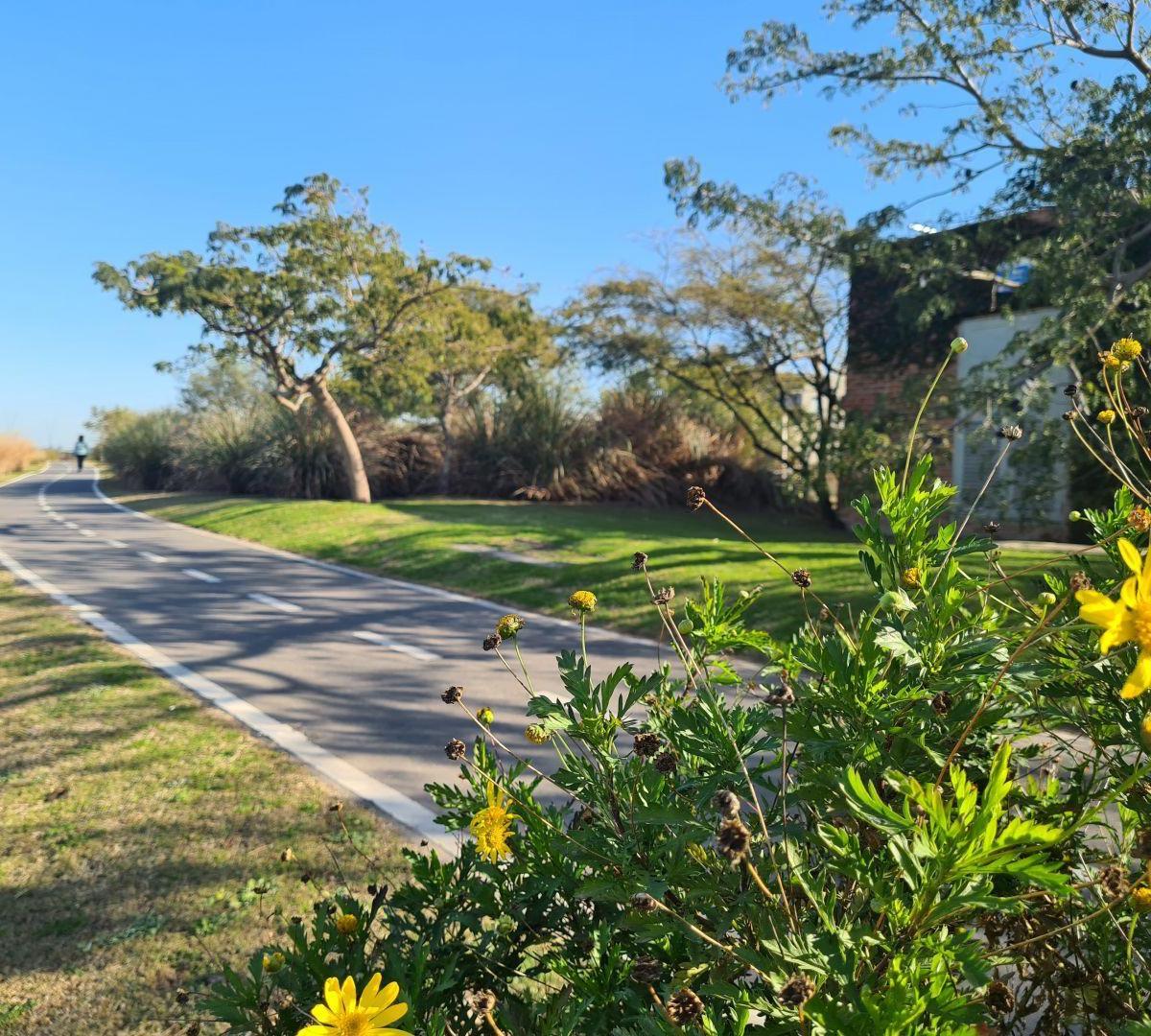 LOTE PERIMETRAL EN VENTA EN LA RESERVA - NATIVAS PUERTOS