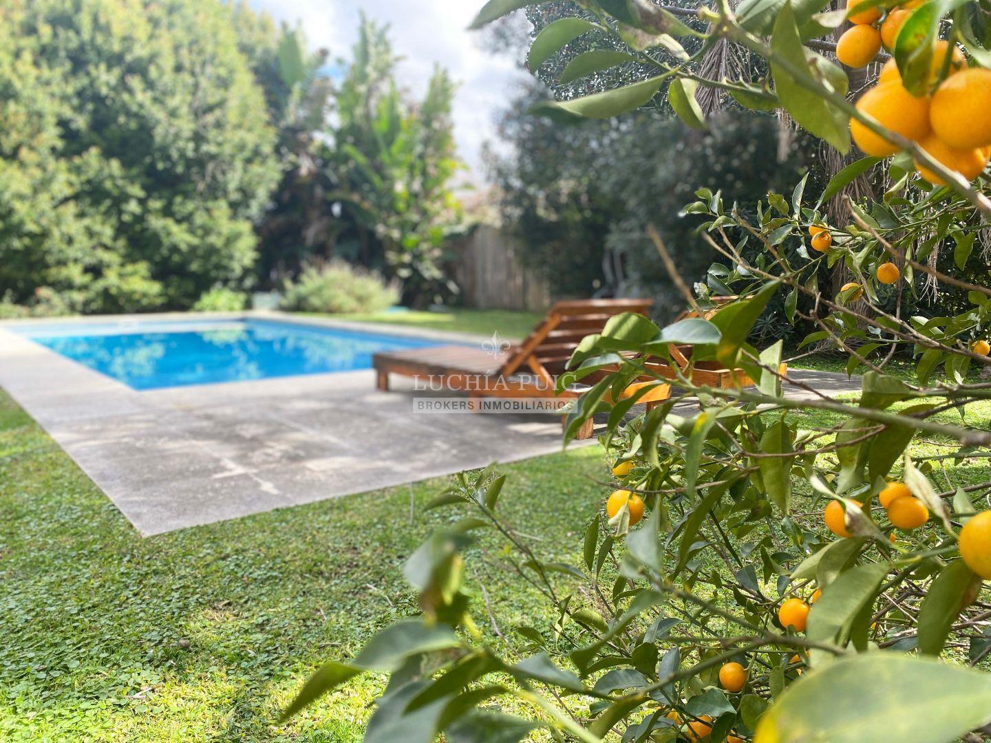 Foto de CASA EN VENTA LOTE INTERNO 3 DORMITORIOS - SANTA BARBARA, imagen 3