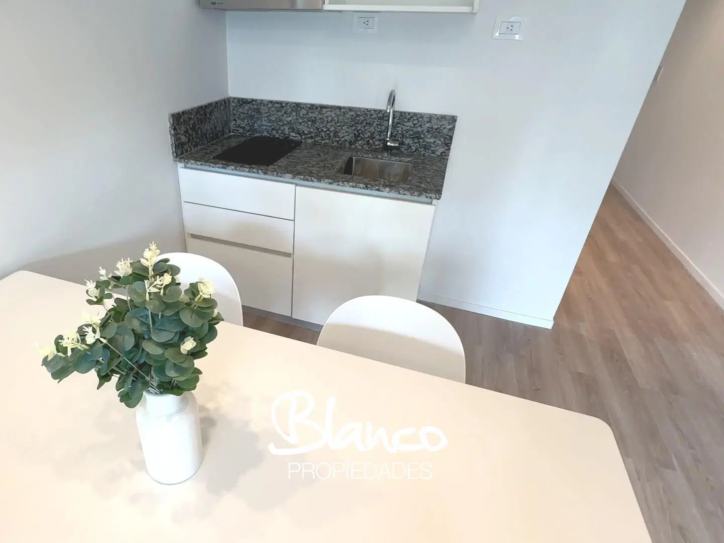 Departamento Monoambiente en Venta en San Telmo, Capital Federal, Buenos Aires 2