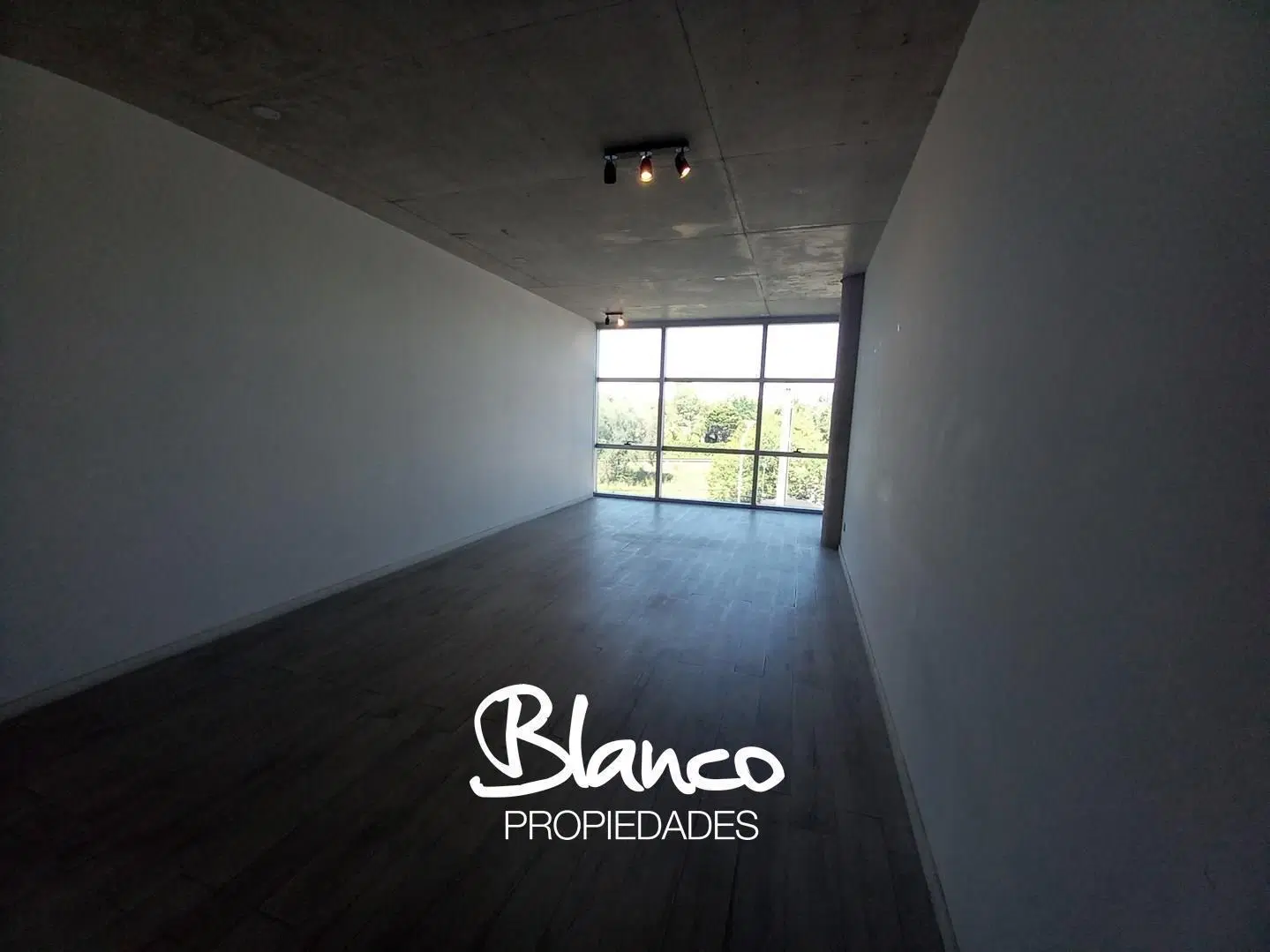 Oficina en Alquiler en Officia Pilar Caamaño, La Lonja, Pilar 5