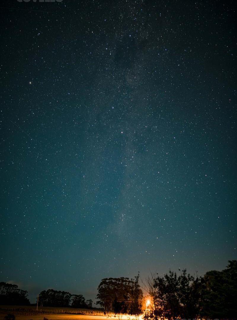 Foto de Chacra en La Morenita José Ignacio, imagen 3