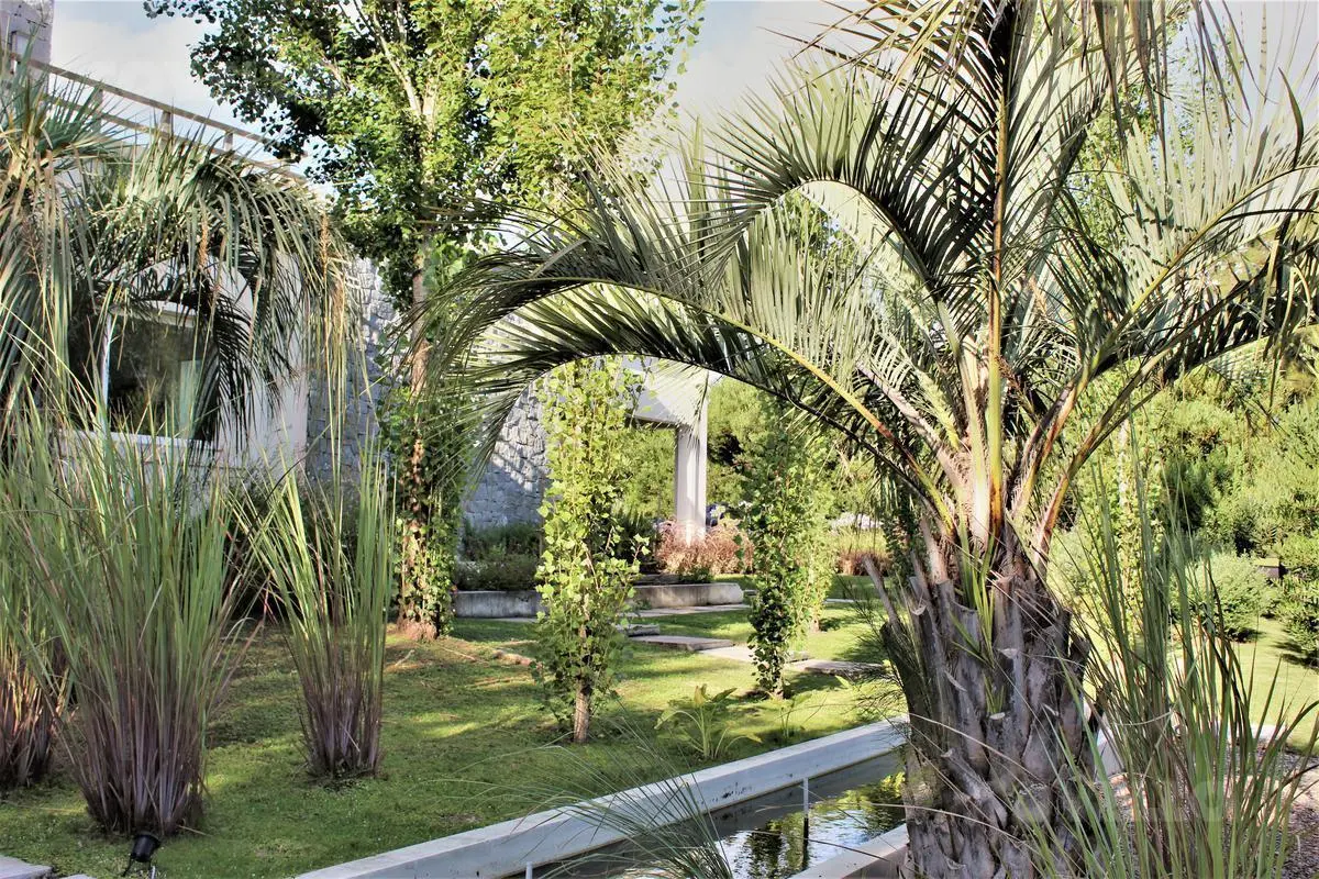 Mansión en Laguna Estates 6 dormitorios en suite Manantiales Punta del Este 4