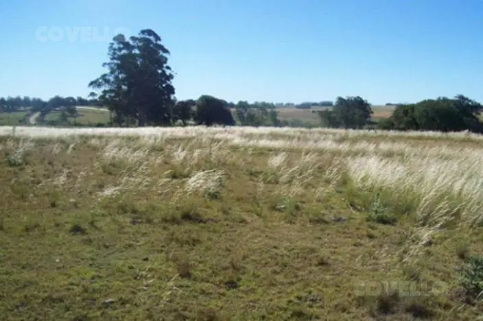 Terreno en José Ignacio 2