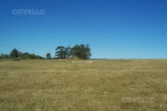Terreno en José Ignacio 3