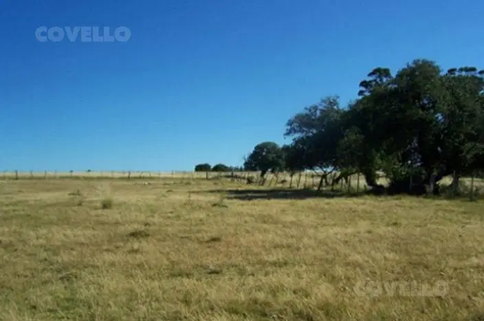 Terreno en José Ignacio 5