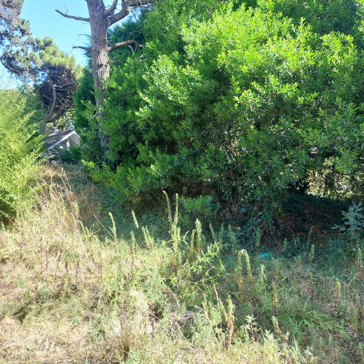 VENTA!!!  Lote Pinamar en esquina de 554 metros