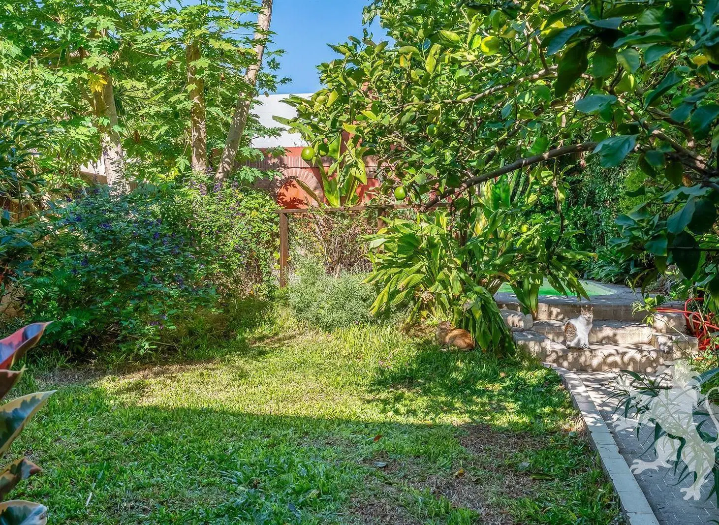 HERMOSA CASA - VENTA -  5 AMBIENTES - AMPLIO JARDIN - COGHLAN 3