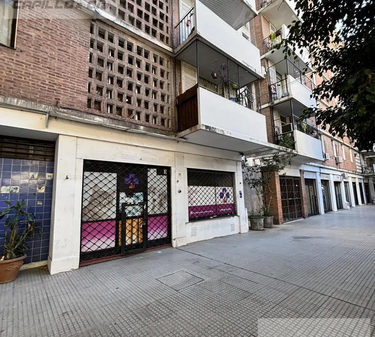 Local - Caballito 5