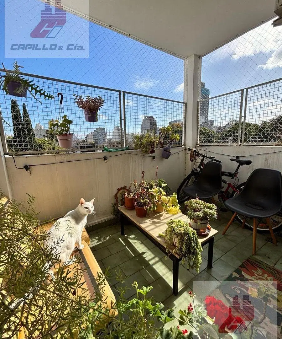 Departamento en Chacarita 5