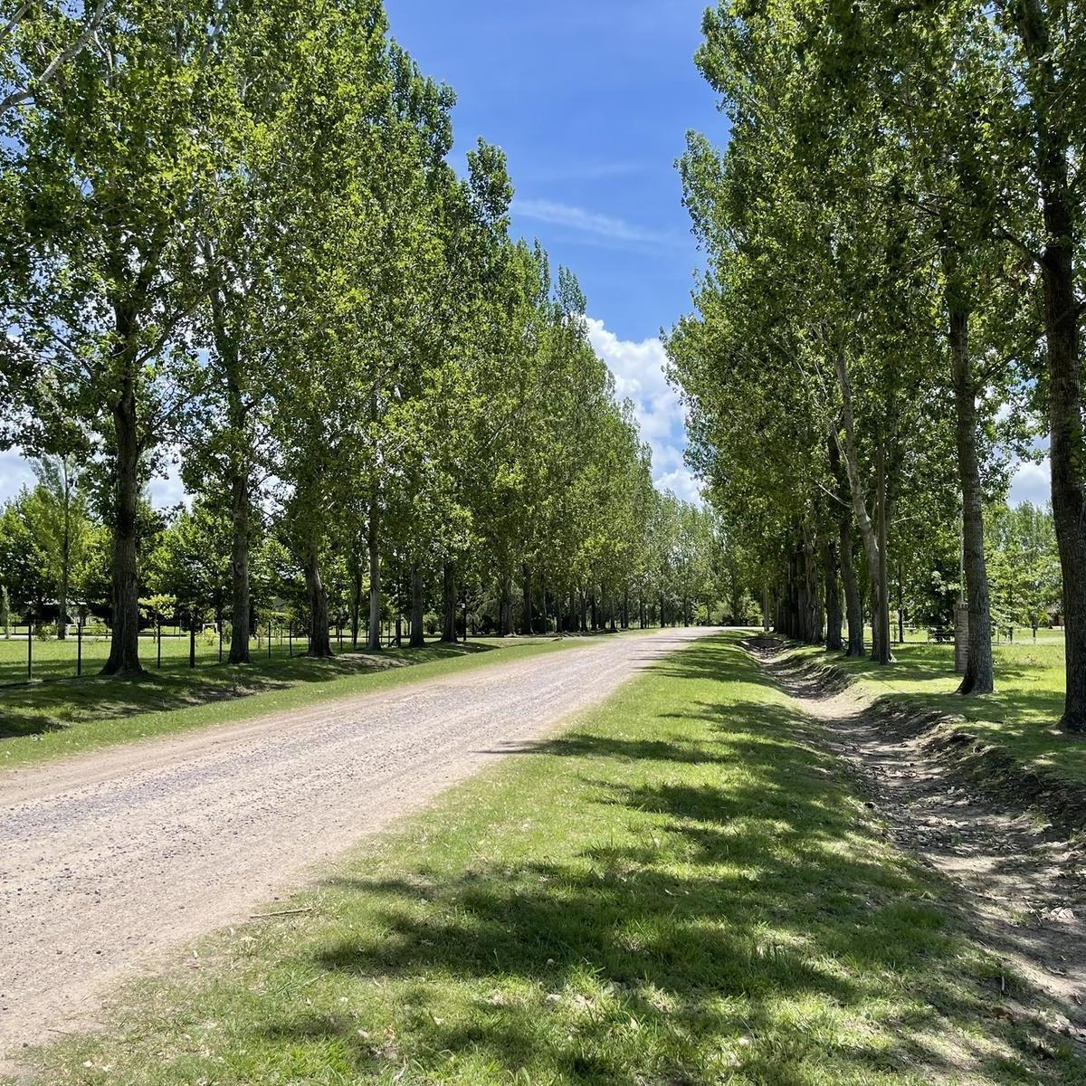 Terreno en Venta en Chacras de Abbott, San Miguel del Monte 4