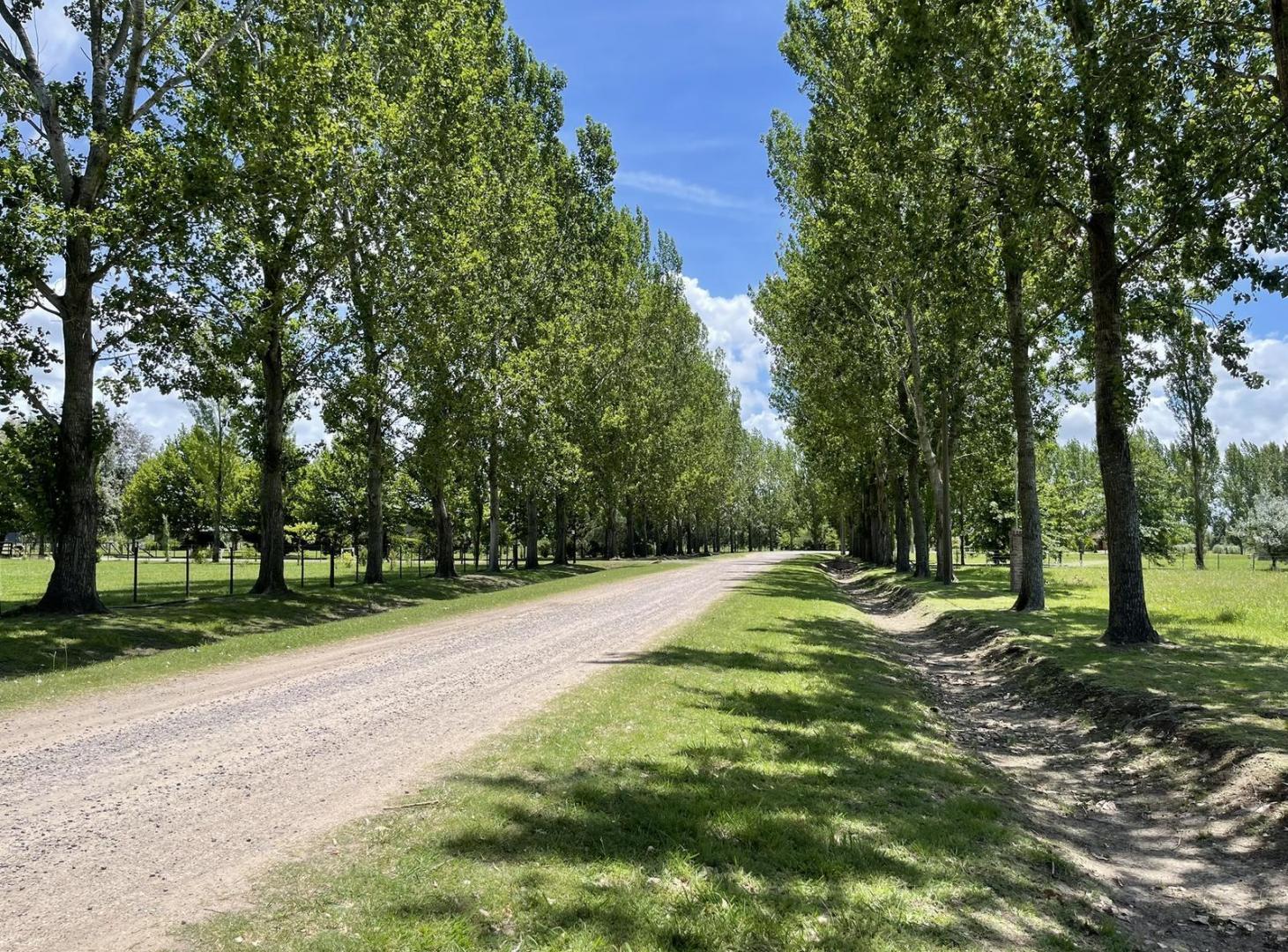 Venta - Terreno - San Miguel del Monte - Chacras de Abbott - 11.000m2