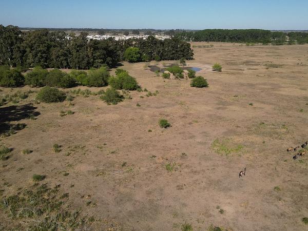 Lote a laguna en barrio privado HÁVITA, en Canning.