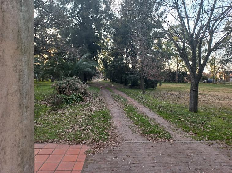 Campo de 2.7 has en Cañuelas, con acceso desde la ruta 205.