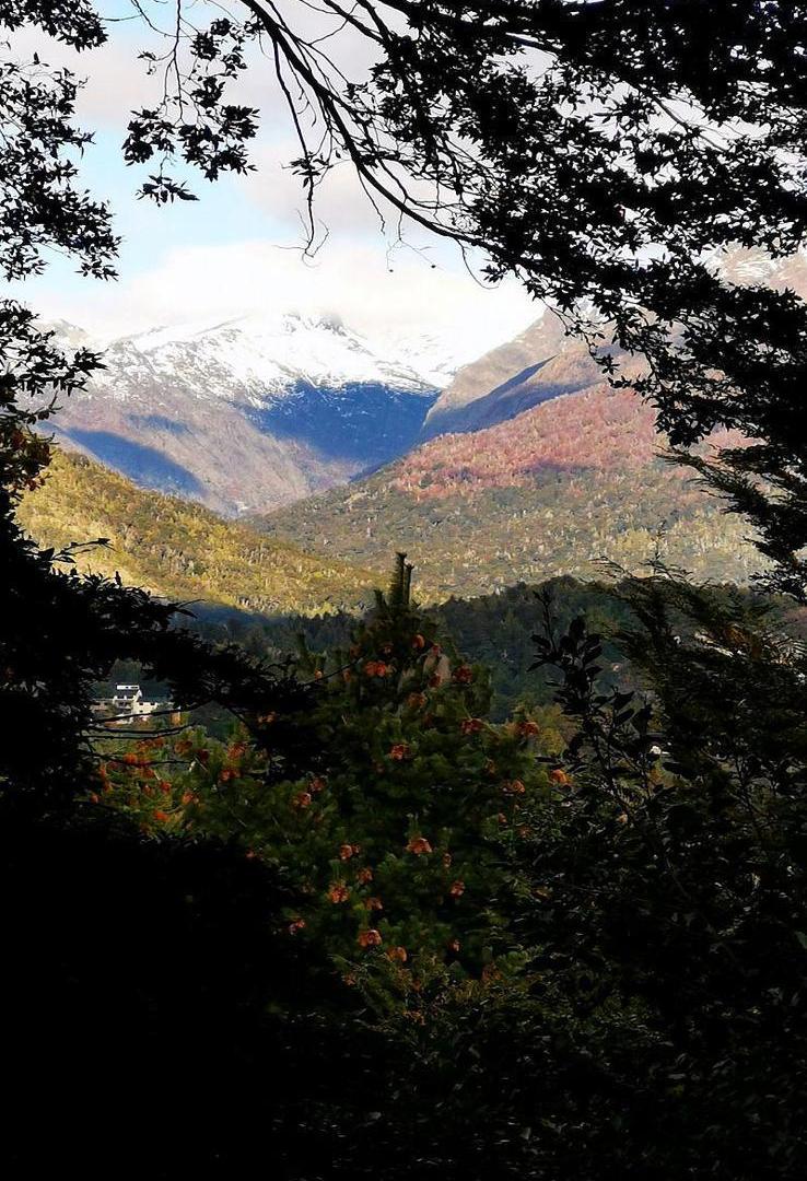 Excelente terreno con vista a la montaña y la tranquilidad del bosque en Península San Pedro. Gas
