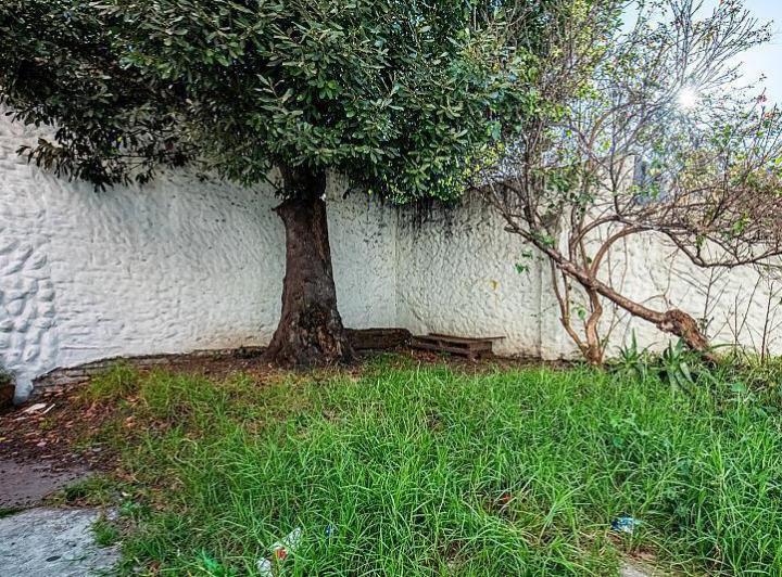 PH con patio y jardín en Saavedra 4