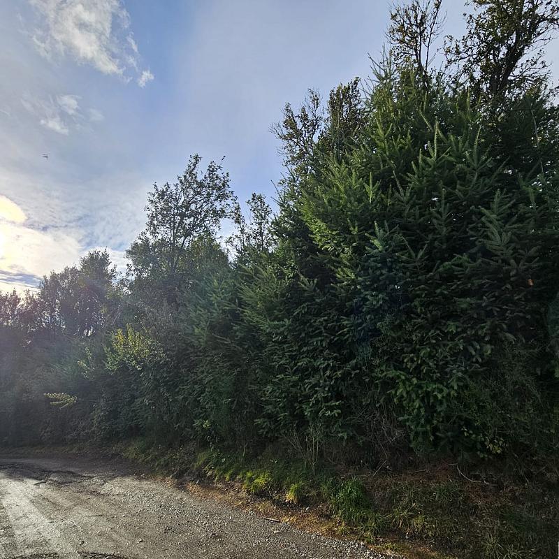 Excelente terreno con vistas panoramicas a los cerros