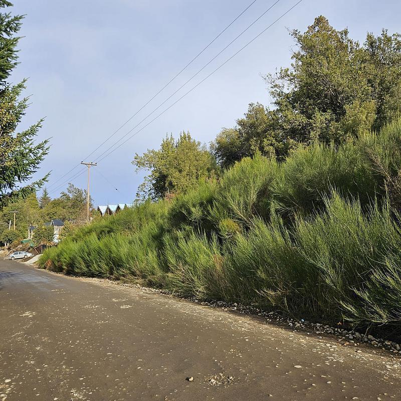 Foto de Excelente terreno con vistas panoramicas a los cerros, imagen 3