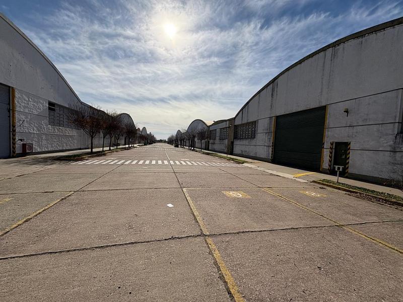 Oportunidad industrial en Coronel Suárez: planta con 40.000 m² cubiertos en terreno de 109.000 m²