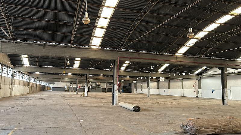 Foto de Deposito o planta con 11 naves de 800 m2 con 6/8 mts pisos en H°A°, imagen 3