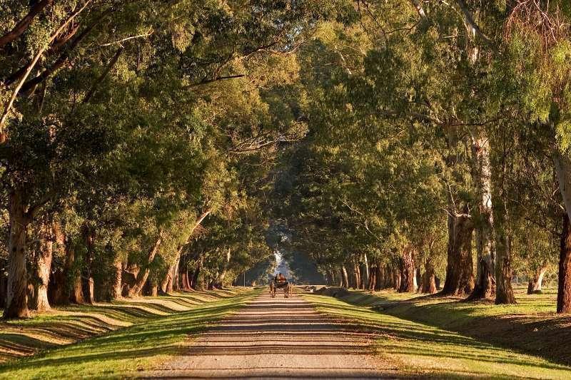 Foto de Lote de 2400 m2 en sector Lagunas del Golf, Estancia Villa María. Ezeiza- Cañuelas., imagen 2
